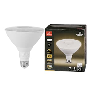 Ampoule-réflecteur DEL PAR38 blanc chaud 15 W