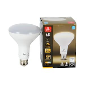 BR30 LED Light Bulb Warm White 9 W