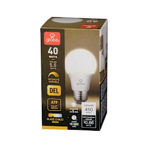 Ampoule DEL A19 blanc chaud 5,5 W
