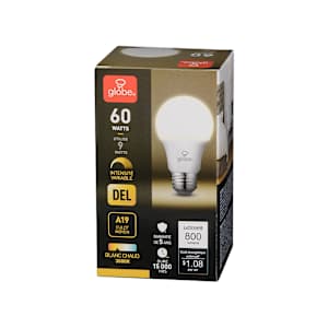 Ampoule DEL A19 blanc chaud 9 W