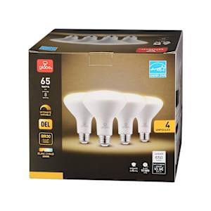 Ampoules-réflecteurs DEL BR30, 8 W Pqt/4