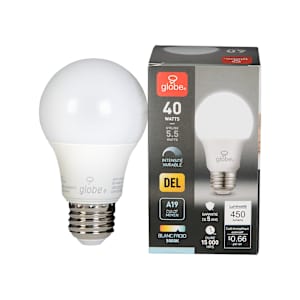 A19 Daylight LED Light Bulb 5.5W