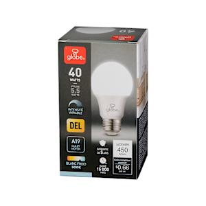 A19 Daylight LED Light Bulb 5.5W