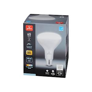 Ampoule-réflecteur DEL BR30, 9 W