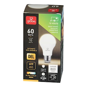 Ampoule DEL A19, 10 W blanc chaud