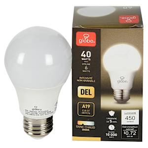 A19 Warm White LED Light Bulb 6 W