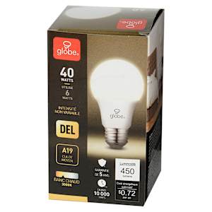 Ampoule DEL A19 blanc chaud 6 W