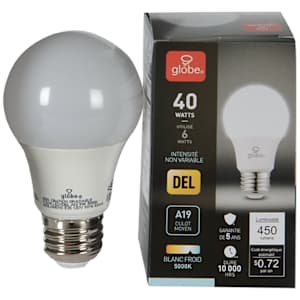 A19 Daylight LED Light Bulb 6 W