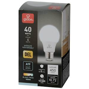 Ampoule DEL A19 blanc froid 6 W