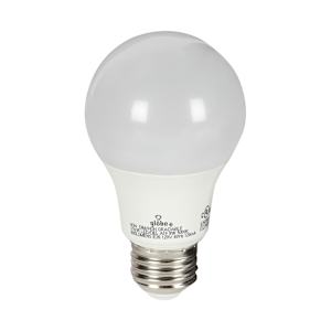 Ampoule DEL A19 blanc froid 9 W