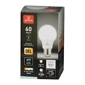 Ampoule DEL A19 blanc froid 9 W