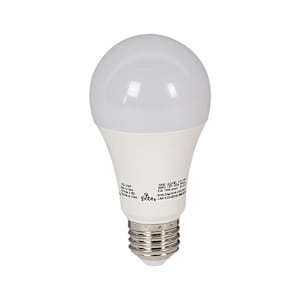 Ampoule DEL A19 blanc froid 14 W