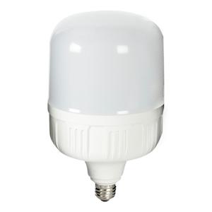 T140 LED Light Bulb Daylight 50 W