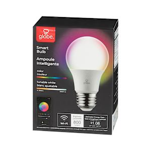 Ampoule intelligente DEL A19, 10 W