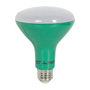 BR30 LED Reflector Plant Bulb 8 W