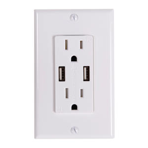 Secure Electrical Outlet 15 A + 2 USB Ports with Plate