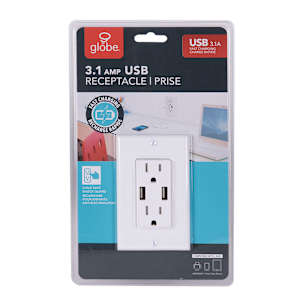 Secure Electrical Outlet 15 A + 2 USB Ports with Plate