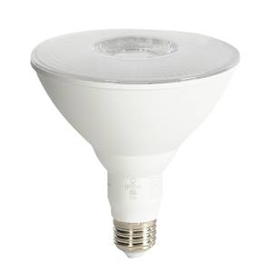 Ampoule intelligente DEL PAR38, 10 W