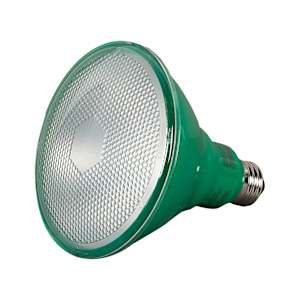 Ampoule DEL PAR38 vert 12 W