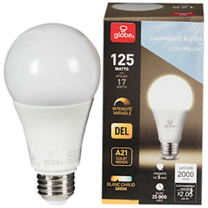 Ampoule DEL A21 blanc chaud 17 W