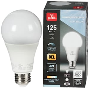 Ampoule DEL A21 lumière du jour 17 W