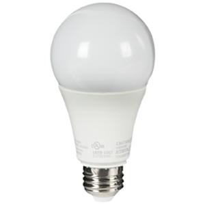 Ampoule DEL A21 lumière du jour 17 W