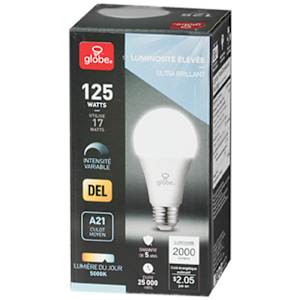 Ampoule DEL A21 lumière du jour 17 W