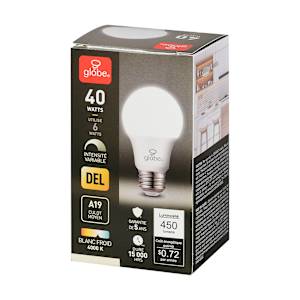 Ampoule DEL A19 blanc froid 6 W