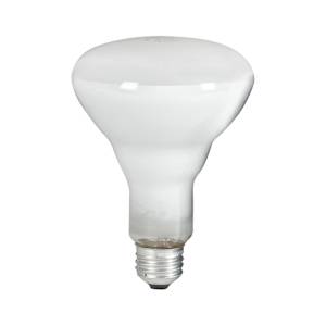 BR30 Indoor Reflector Light Bulb 65 W Pkg/3