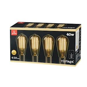 ST19 Vintage Light Bulb Pkg/4