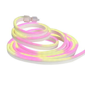 Ruban lumineux à DEL Multicolore 5 m VERTUO