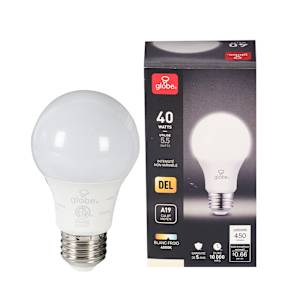 Ampoule DEL A19, 5,5 W blanc froid