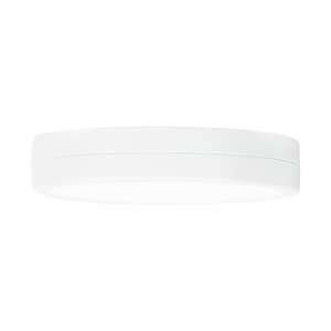 LED Flush Mount 10 in.