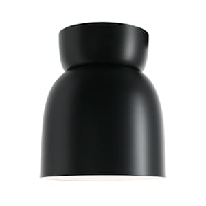 Taylor 1-Light Ceiling Mount