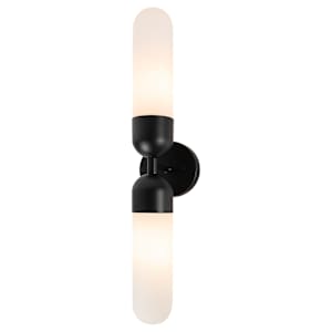 Carmina 2-Light Wall Mount