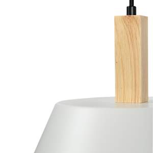 Ofelia 1-Light Pendant