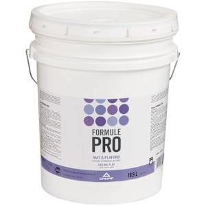 Peinture au latex d'intérieur Formule Pro Mat à plafonds blanc naturel 18,9 L