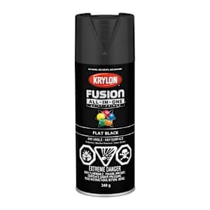 Fusion All-In-One Paint & Primer Flat Black 340 g