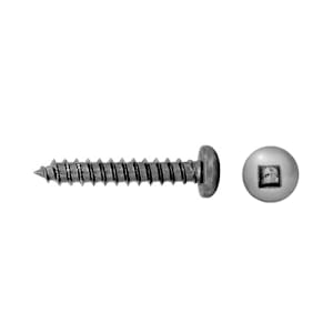 Stainless Steel Metal Screws 1 in. n° 6 Pkg/10