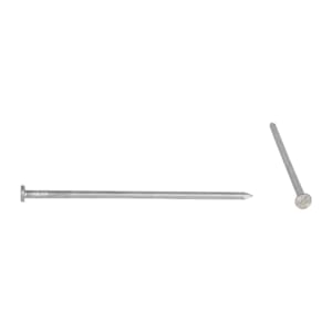 Bright Common Nails , 6 in. (4-Pack)