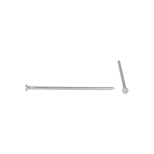 Hot Galvanized Common Nails 10 in. Pkg/4