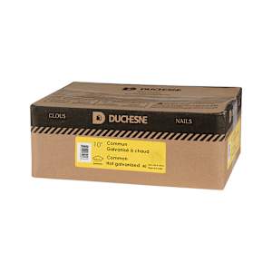 Hot Galvanized Common Nails 10 in. Pkg/4
