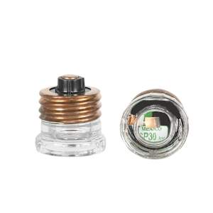 Fuse Plug 30 A Pkg/2