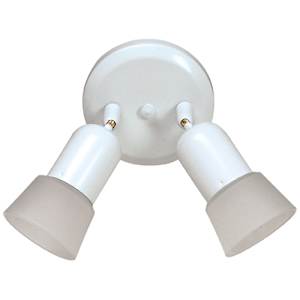 2-Light Ceiling Mount