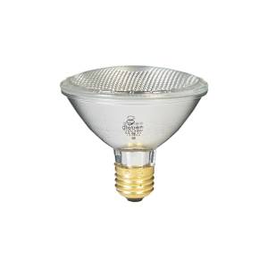 PAR30 Halogen Reflector Light Bulb 75 W