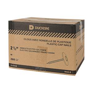 Clous à tête de plastique pour panneaux isolants 2 1/2 po Pqt/2 000