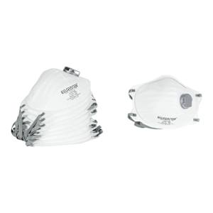 N95 Disposable Dust Masks Pkg/10