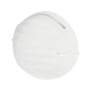 Disposable Dust Masks Pkg/50