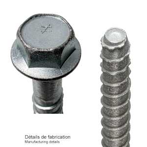 Vis d'ancrage galvanisé pour le béton Titen HD 5/8 po x 6 po T.H. Pqt/20