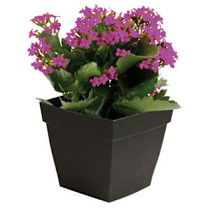 Pot à fleurs Harmony 16 1/8 po